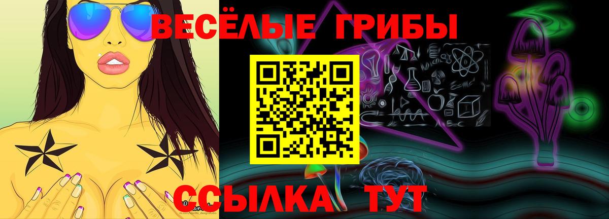 Галлюциногенные грибы прущие грибы  Вход с VPN  Гай 